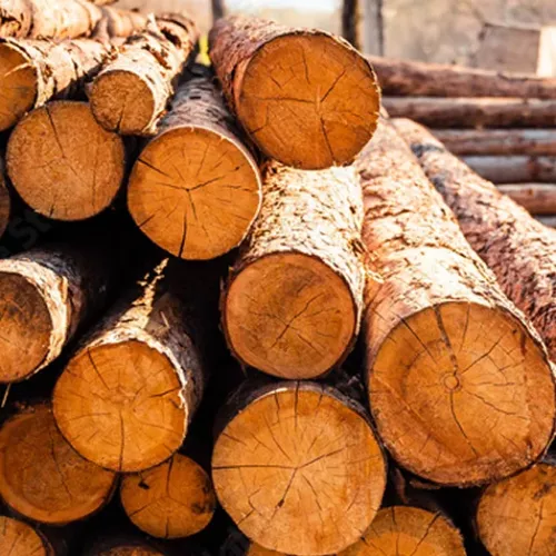 469898d31b_AdobeStock_366883692_Preview 1.png.webp 469898d31b_AdobeStock_366883692_Preview 1.png.webp