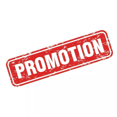 Catégorie Promotion Catégorie Promotion